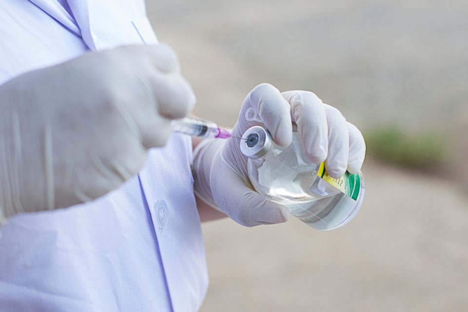 Fabricante de Medicamentos Veterinários