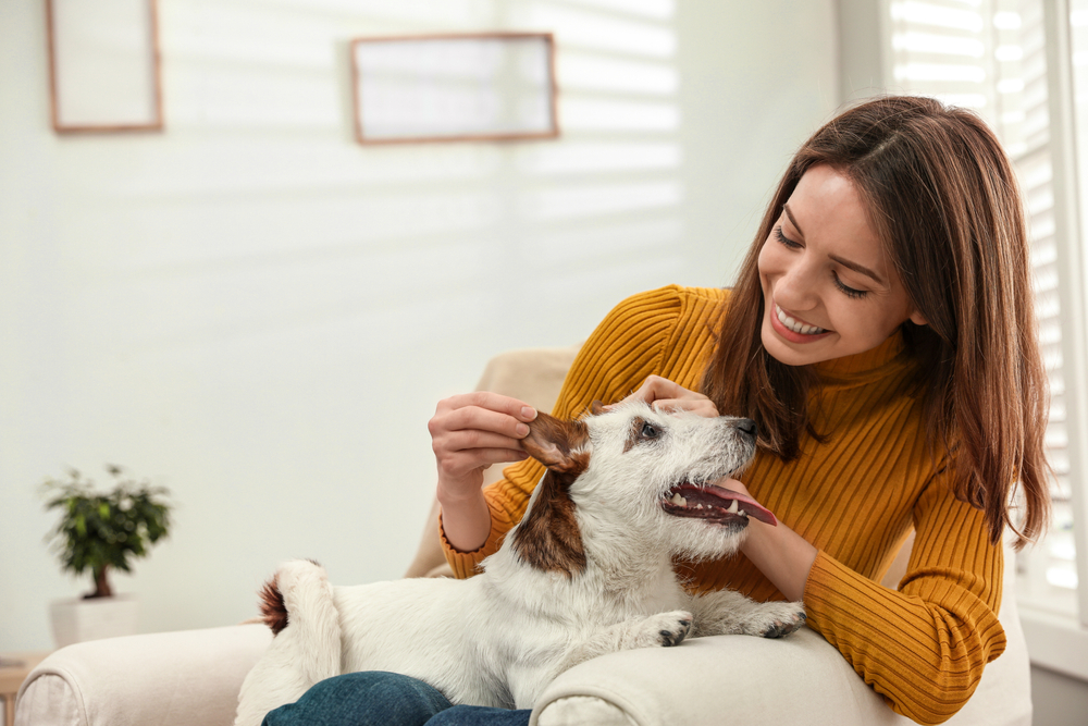 Otite canina: causas, sintomas e tratamento