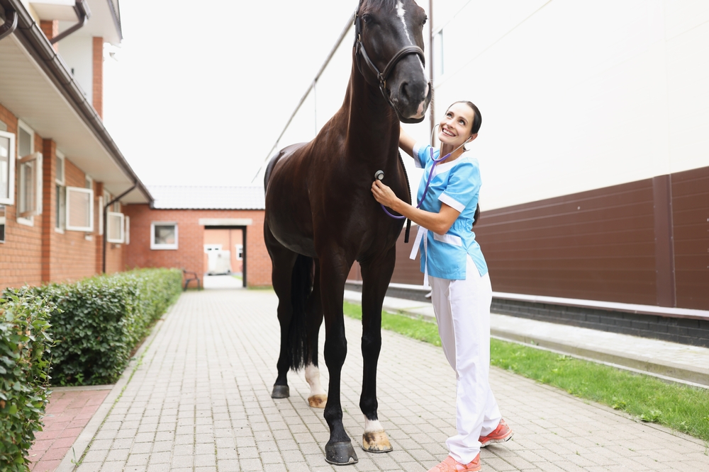 Doenças inflamatórias em cavalos