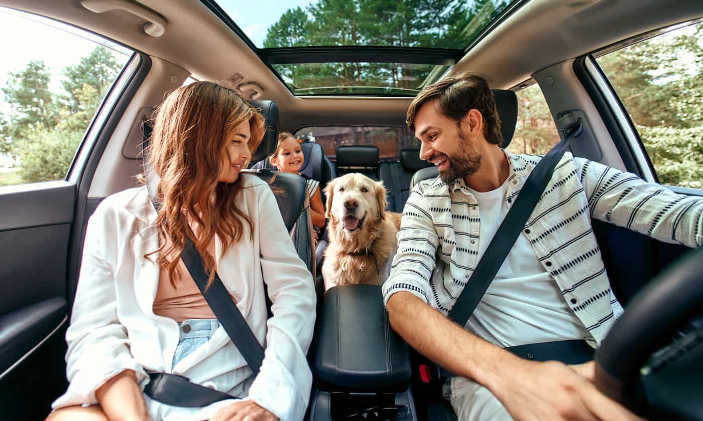 Dicas para viajar com pet: o que preciso saber?