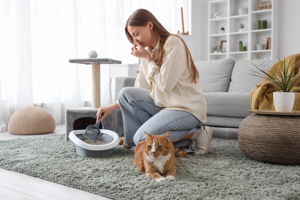 Controle de odor em ambientes com pets