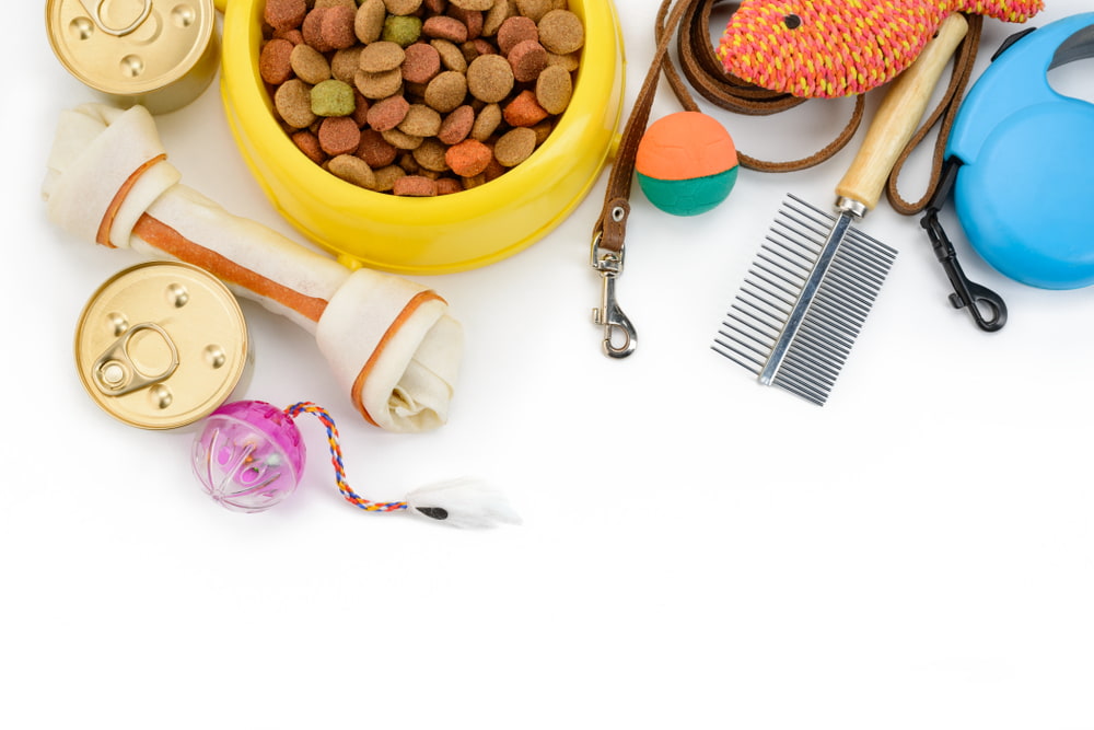 Produtos para pets: itens essenciais para o bem-estar do pet