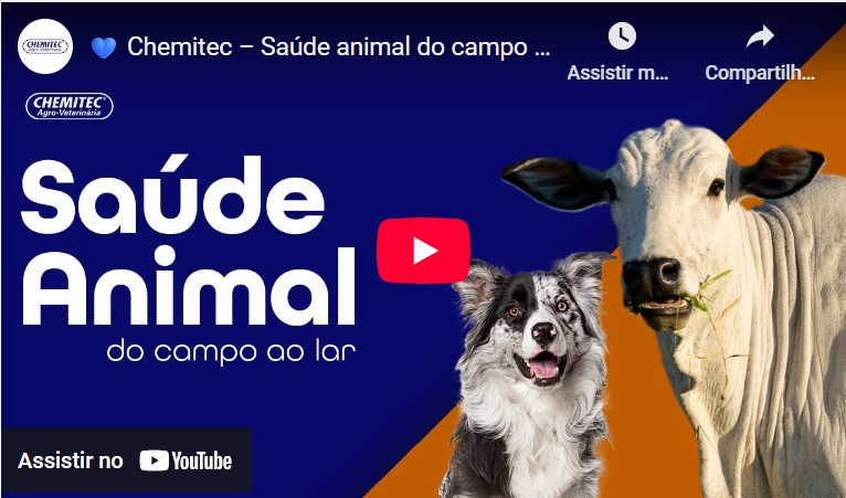 Imagem da thumbnail do vídeo Imagem da thumbnail do vídeo